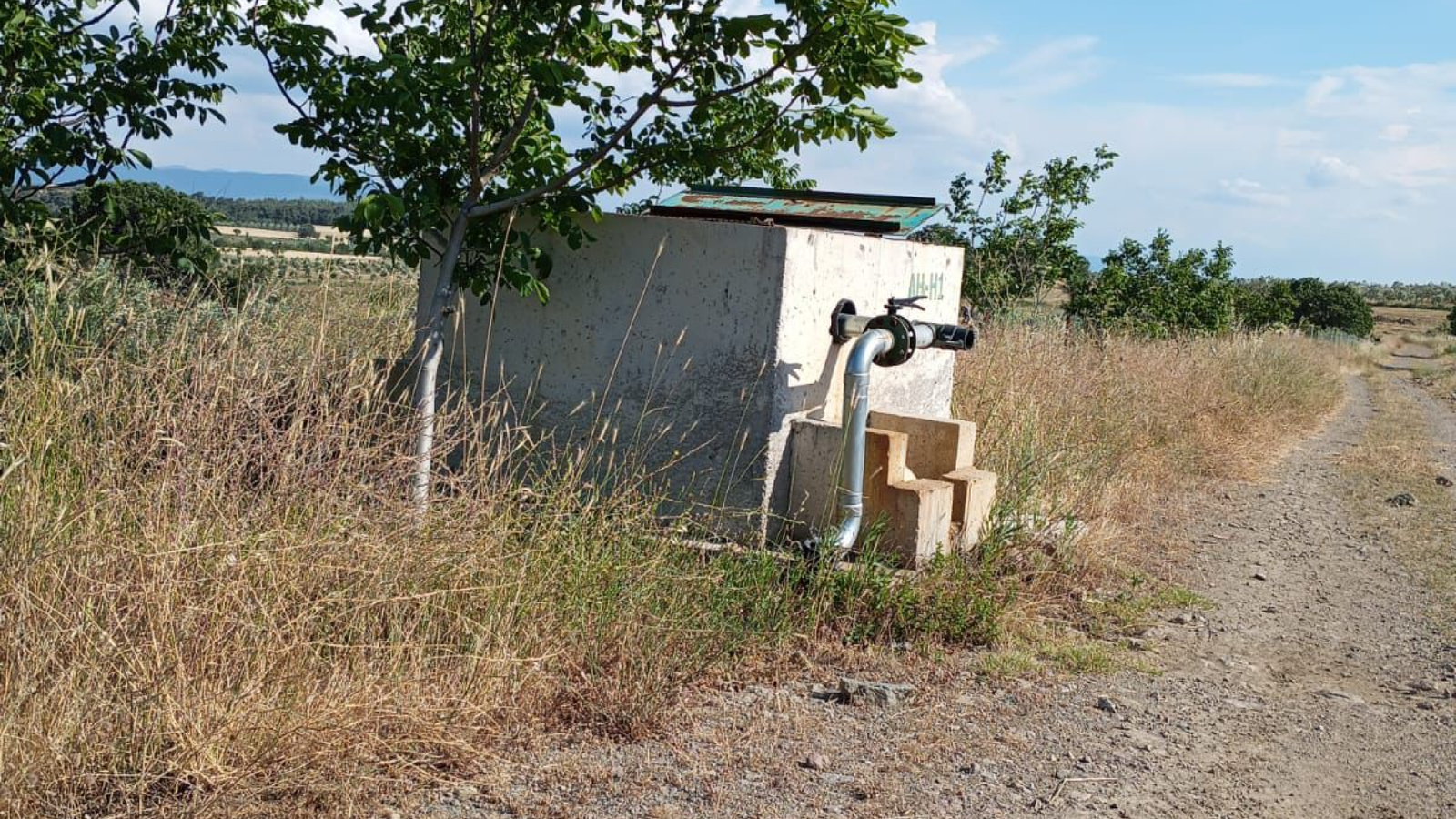 Bergama Örenli Köyü'nde Satılık Zeytinlik